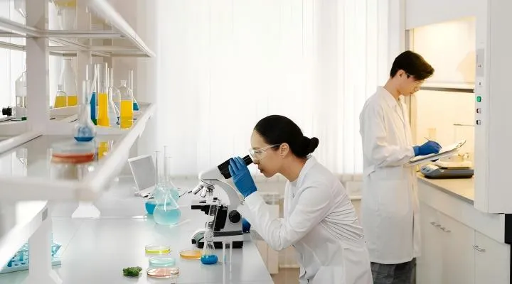 Pasukan Pakar R&D